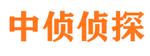 龙湖市调查公司